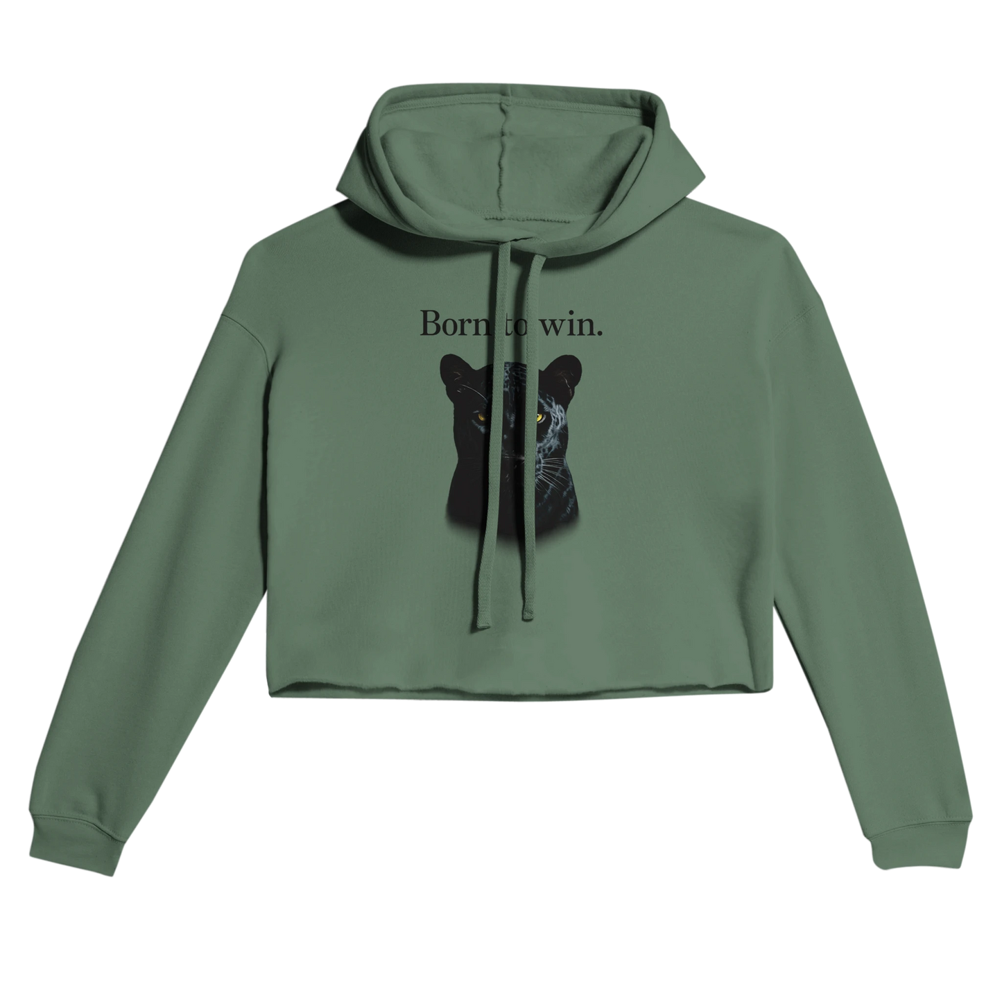 5be85592-779b-42ca-a5a0-bfa59d1edf70